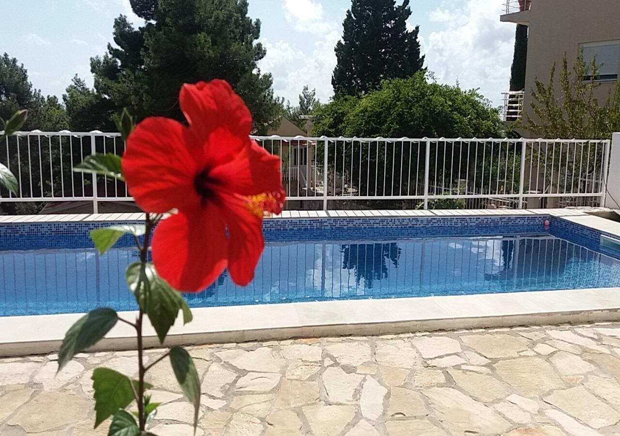 Apartment Tijana Бар Экстерьер фото